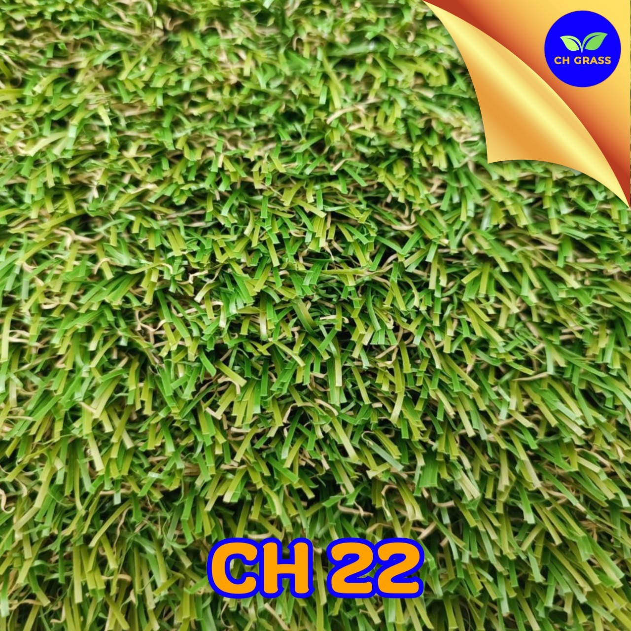 หญ้าเทียมรุ่น CH22