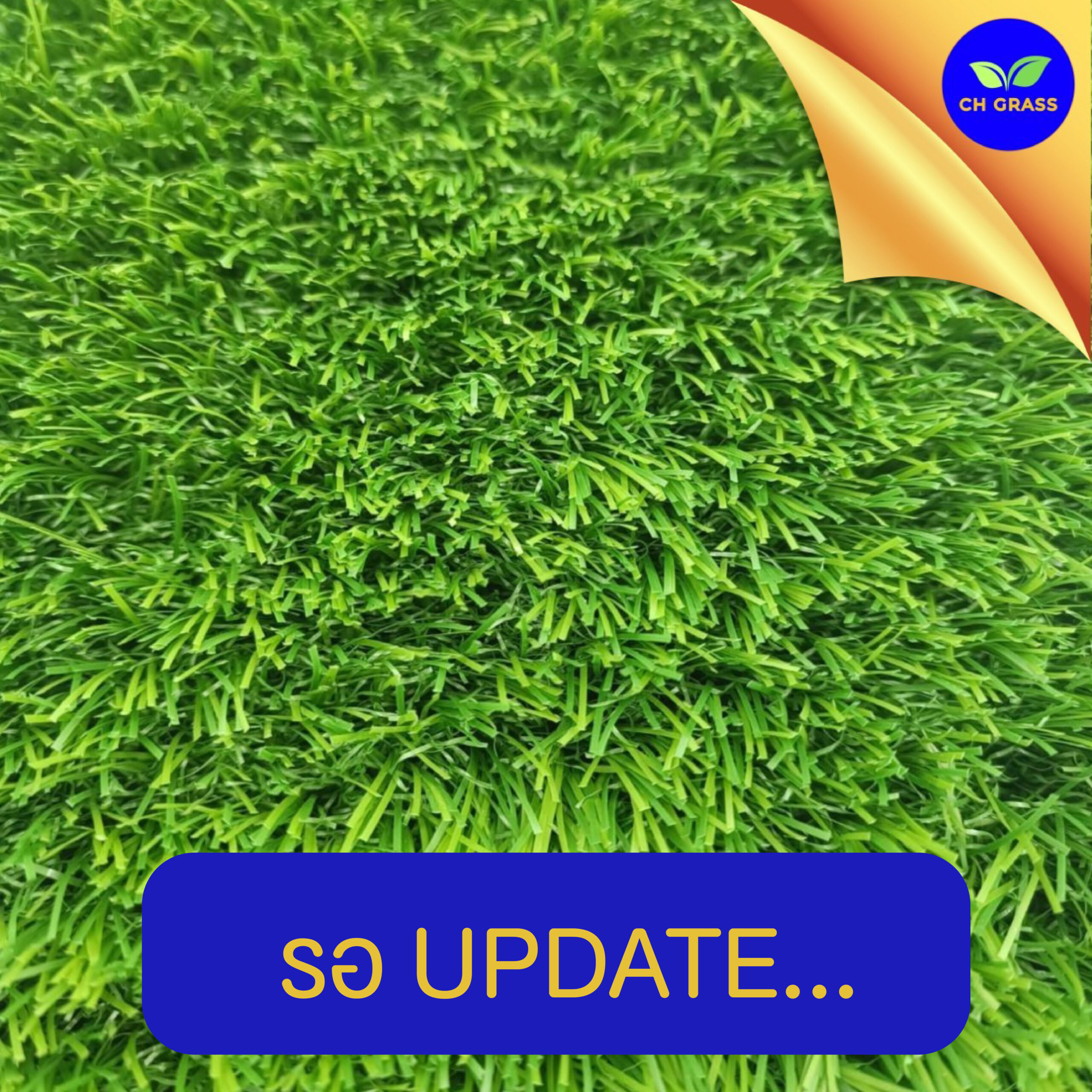 หญ้าเทียมรุ่น CHF 538 BL